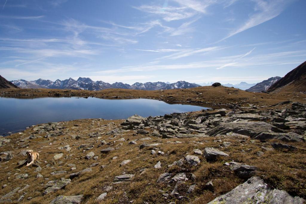 Alpengasthof Zollwirt Санкт-Якоб-ин-Деферегген Экстерьер фото